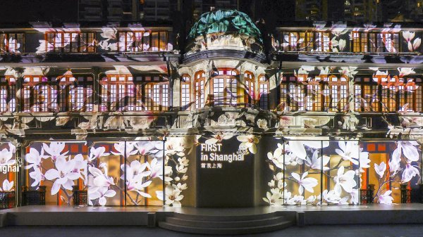 荣耀发布自研龙虾AI智能体YOYO Claw技术 开创“养虾本”新品类