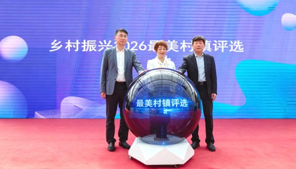 解码十四年“寻美”基因，什么样的村镇凭实力出圈？