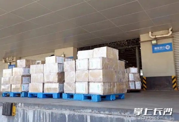 中非咖啡集散中心项目建设取得关键进展 首批近4吨肯尼亚生豆运抵长沙