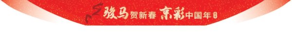 好戏连台年味浓！春节期间全市营业性演出260台2128场