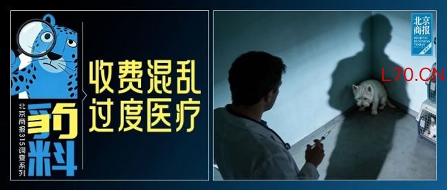 多宠物被“治死”！宠物医院人药兽用、资质不全，只是冰山一角