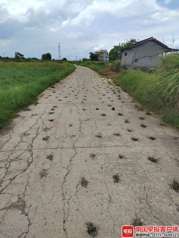 广西一村道被凿大量洞眼，200多米路面密密麻麻都是，当地回应