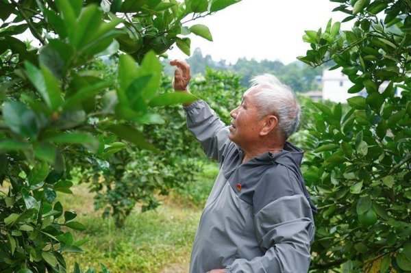 万山区：一枚纪念章 一生家国情