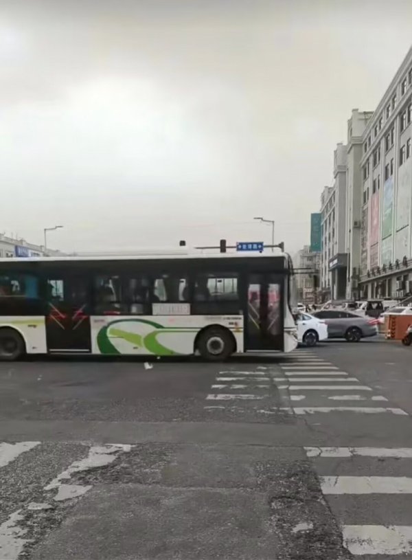 连线哈尔滨沙尘暴亲历者: 部分倒伏的树还未清理, 暂时不外出