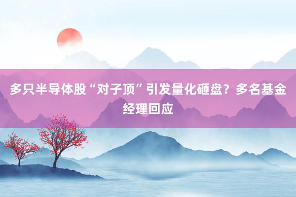 多只半导体股“对子顶”引发量化砸盘？多名基金经理回应