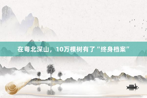 在粤北深山，10万棵树有了“终身档案”