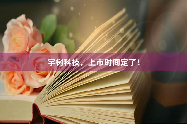 宇树科技，上市时间定了！