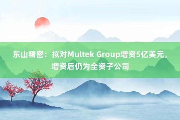 东山精密：拟对Multek Group增资5亿美元，增资后仍为全资子公司