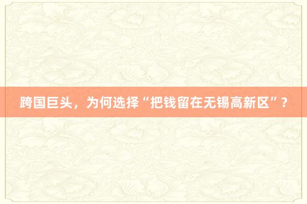 跨国巨头，为何选择“把钱留在无锡高新区”？