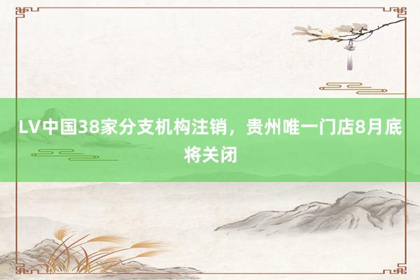 LV中国38家分支机构注销，贵州唯一门店8月底将关闭