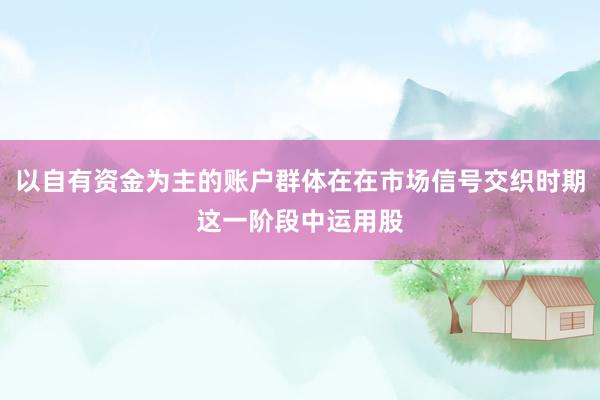 以自有资金为主的账户群体在在市场信号交织时期这一阶段中运用股