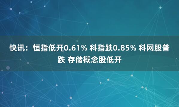 快讯：恒指低开0.61% 科指跌0.85% 科网股普跌 存储概念股低开