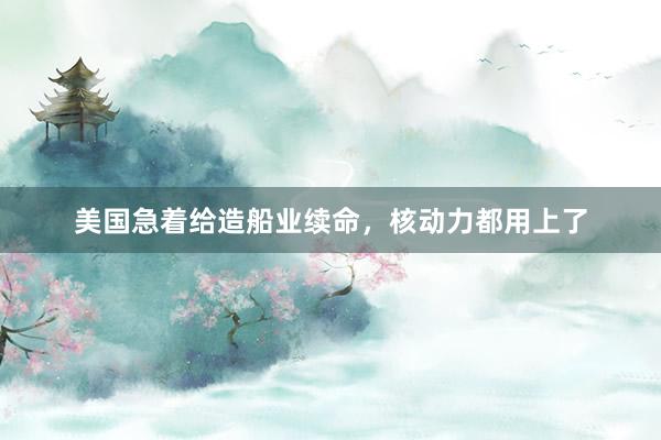 美国急着给造船业续命，核动力都用上了