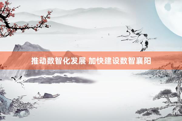 推动数智化发展 加快建设数智襄阳