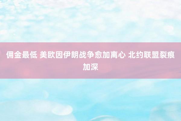 佣金最低 美欧因伊朗战争愈加离心 北约联盟裂痕加深