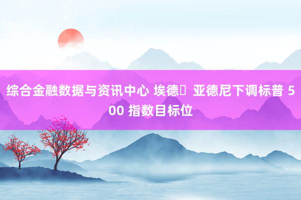 综合金融数据与资讯中心 埃德・亚德尼下调标普 500 指数目标位