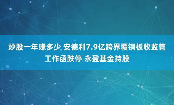 炒股一年赚多少 安德利7.9亿跨界覆铜板收监管工作函跌停 永盈基金持股
