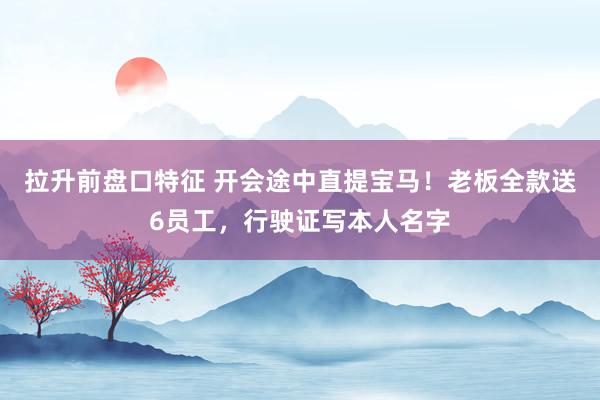 拉升前盘口特征 开会途中直提宝马！老板全款送6员工，行驶证写本人名字