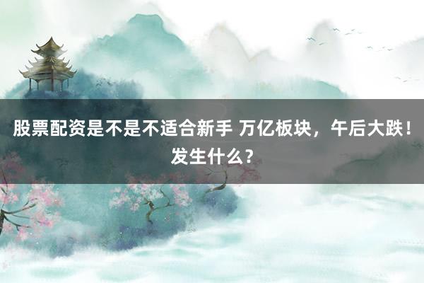 股票配资是不是不适合新手 万亿板块，午后大跌！发生什么？