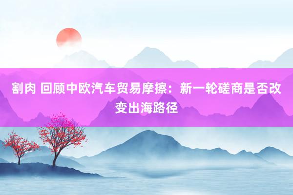 割肉 回顾中欧汽车贸易摩擦：新一轮磋商是否改变出海路径