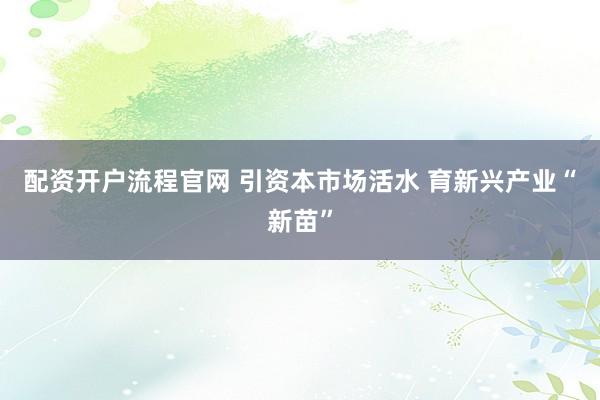 配资开户流程官网 引资本市场活水 育新兴产业“新苗”