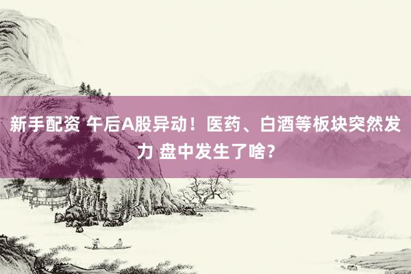 新手配资 午后A股异动！医药、白酒等板块突然发力 盘中发生了啥？